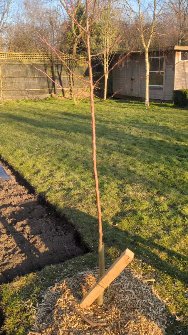 #wiltshiregardendesign #gardendesign