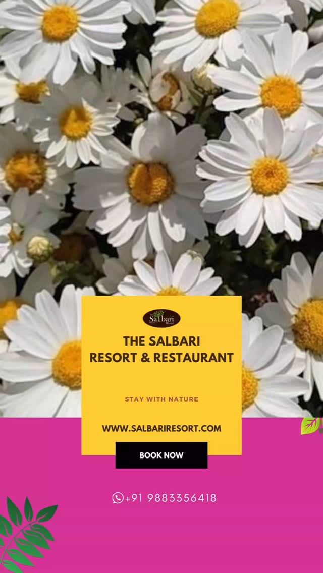 "To the women who inspire, lead, and shine—today is for you! ✨💜 This Women’s Day, take a break, breathe in the fresh air, and let nature embrace you in its calmness. 🌿🌸
At Salbari Resort, we celebrate your strength, resilience, and dreams. Gift yourself the peace you deserve! 🌳🏡
📞 Contact: +91 9883356418
🌐 Website: www.salbariresort.com
#UnwindAtSalbari"
Women’s Day, Empowerment, Strength, Inspiration, Travel, Relaxation, Peaceful Escape, Self-Care, Nature Retreat, Adventure, Tranquility, Hospitality, Serenity, Bold, Beautiful, Rejuvenation, Confidence, Celebration, Luxury Stay, Wellness.
#InternationalWomensDay #UnwindAtSalbari #SalbariForWomen #EmpoweredWomen #WomenWhoTravel #TranquilityFound #LuxuryEscape #ForestRetreat #ScenicViews #CelebrateHer #SelfLoveJourney #RelaxInNature #SereneEscape #PeacefulMoments #AdventureAwaits #StayWithUs #DiscoverMore #BookYourStay #SalbariResort