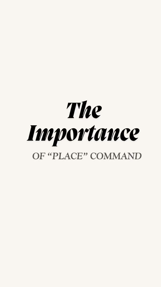 Teaching place isn’t about getting your dog to stay put—it’s about teaching them how to settle down:
🐶 While the doorbell rings
🐶 While guests come in
🐶 While life happens
It’s one of the most powerful tools we use to build impulse control, calm energy, and trust.
Because a dog who can do nothing… can do everything.
Ready to level up your pup’s manners? Send us a DM for all the details on training!
#DogTraining #PuppyTraining #ObedienceTraining #DogTrainer #PositiveReinforcement #CanineTraining #DogTrainingTips #WellBehavedDog #TrainingSession #DogObedience #BalancedTraining #DogBehavior #DogTrainingLife #PackLeader #DogTrainingJourney #TrainYourDog #DogTrainingCommunity #ReactiveDogTraining #CalmConfidentCanine #StructuredWalks #DogTrainingWorks #LooseLeashWalking #DogTrainingGoals #OffLeashTraining #ConfidentCanine