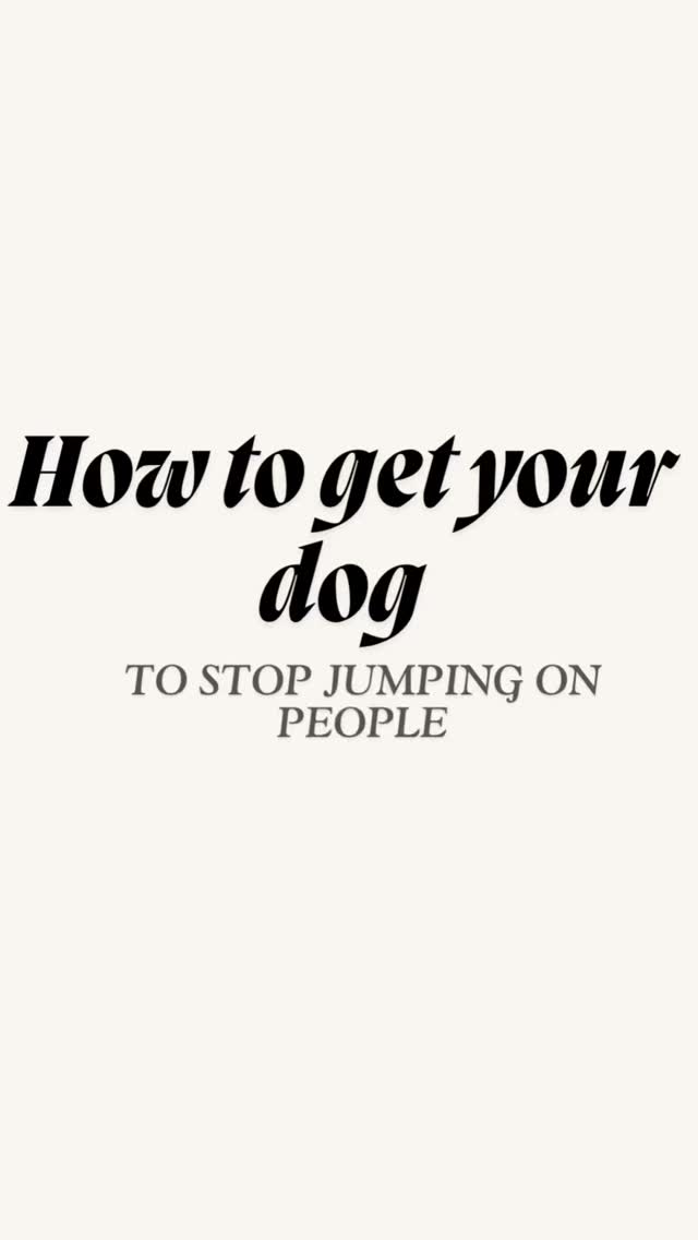 Jumping isn’t the problem—your dog just doesn’t know how else to say “HEY I LOVE YOU!!”
We teach sit instead, because you can’t jump and sit at the same time.
Problem solved. Physics wins.
#DogTraining #PuppyTraining #DogTrainer #TrainYourDog #ObedienceTraining #PositiveReinforcement #ClickerTraining #DogTrainingTips #WellTrainedDog #BalancedTraining #ReactiveDogTraining #K9Training #LooseLeashWalking #PlaceCommand #DogTricks #FromPupToPro #GoodDoggo #DogObedience #CanineMindset #DogLifeTraining #WorkingDogLife #SitStaySlay #InstaDogTrainer #DogsOfInstagram #PuppyLove #DogMomLife #DogDadLife #TrainDontComplain #DogTrainingJourney #DogBehavior