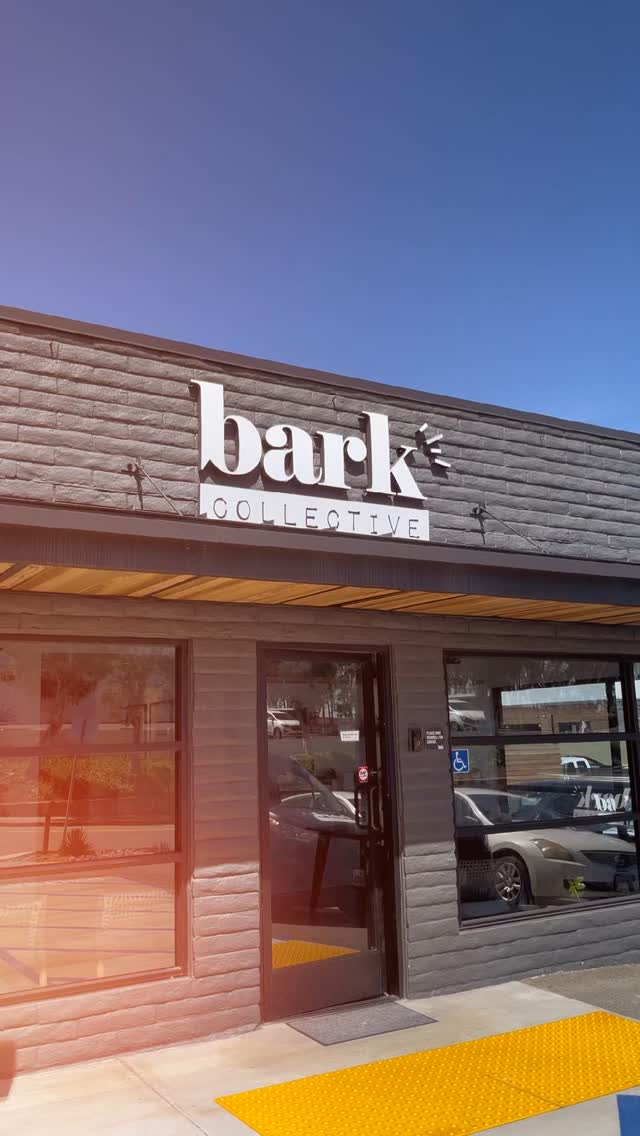 Fridays at Bark Collective hit different.
Playgroups, sunshine, and dogs living their absolute best lives.
It’s fun, it’s structured, and just the right amount of wild.
#FridayAtBark #DogDaycareVibes #BarkCollective #CostaMesaDogs #WeekendEnergy #HappyDogsClub #DoggyDaycare #DogLife #PuppyPlaytime #FurryFriends #DogLovers #DogMomLife #DogDadLife #PupAdventures #TailWaggingFun #HappyPups #DoggyDayOut #PlayAllDay #CanineCrew #PetCareLove #DoggySquad #PuppyParty #BarkAndPlay #FluffyFriends #DoggyFunTime #PawsAndPlay #PupLife #WaggingTails #DaycareDogs #DogGoneFun