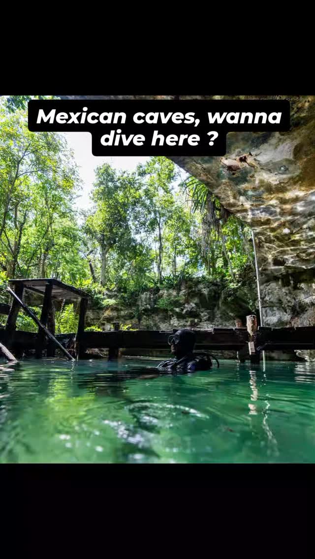 Already a cave diver ? Or have the desire to become one ? Get in contact for details on diving some of these amazing Mexican caves.
@bigbluedivelights
@apeksdiving
@diverite_equipment
@lightmonkeyofficial
@halcyondivesystemsuk
#tdisdi
#sidemountdiving #tulumdiving #cavetraining #cavediving #sdi #padi #minediving #ukdiving #technicaldiving