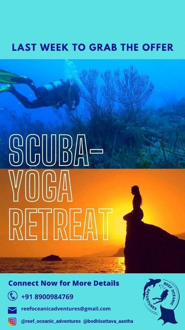 Grab the offer before it disappears!
We're giving you a chance to get your Scuba diving certification and begin your fitness journey with daily mindful yoga sessions! 🤿🐟🐡🧘🏻🧘🏻♀️🧘♂️🧘🏻♂️🌊
Where? In a little tucked away corner of the Andaman Islands, away from the crowd in the lap of nature!
DM or call us to know more!
#Scuba #scubadiving #deepseadiving #Yoga #Wellness #fitness #PADITV #padi #andaman #andamanislands #vacay #vacation #Dedtination #ocean