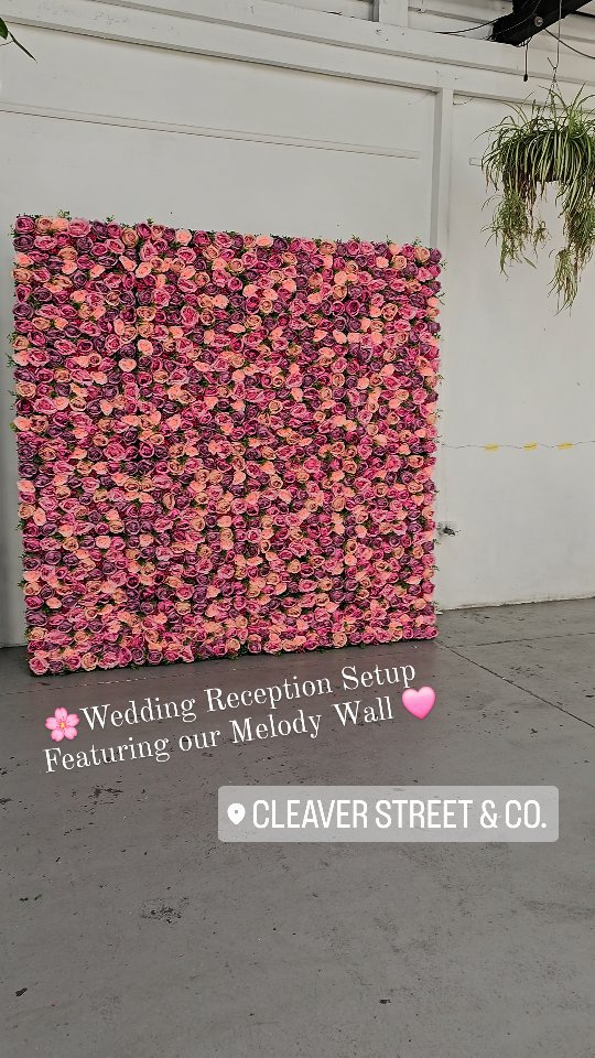 🩷 Wedding Reception setup featuring our Melody Flower Wall 🌸 #flowerwall #flowerwallsperth #perthflowerwalls