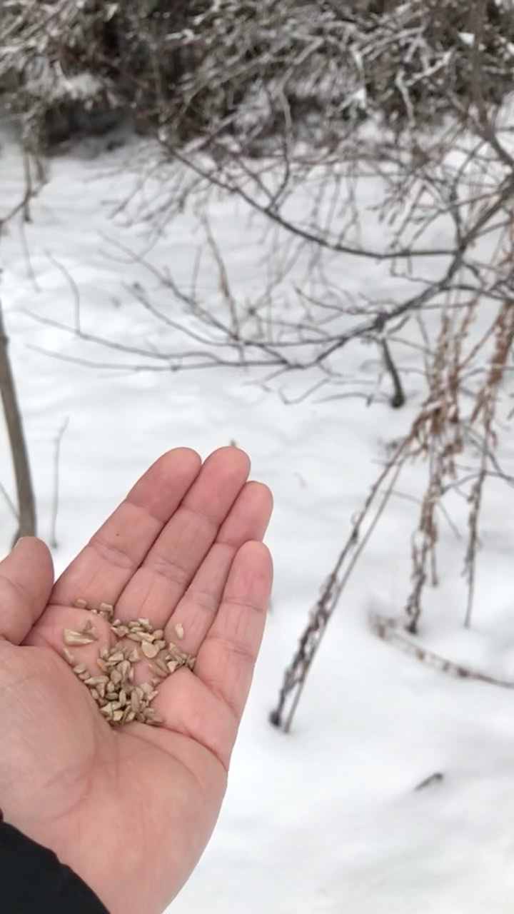 Saying goodbye to winter