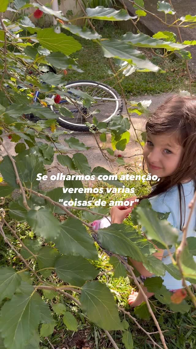 Sabe de uma coisa que tenho pensado? Que a vida anda tão corrida, tão cheia de barulho… Mas, se a gente parar, respirar fundo e olhar com atenção, começa a ver várias “coisas de amor” por aí.
Está no sorriso de uma criança, num gesto bobo de cuidado, numa amoreira que cresce na rua. A gente esquece que o amor não grita ele sussurra. E, às vezes, tudo o que a gente precisa é lembrar de escutar. Porque, no fundo, é isso que vale a pena no mundo, né? Essas coisinhas de amor.
Se você lembrar de alguma “coisinha de amor”, deixa nos comentários.