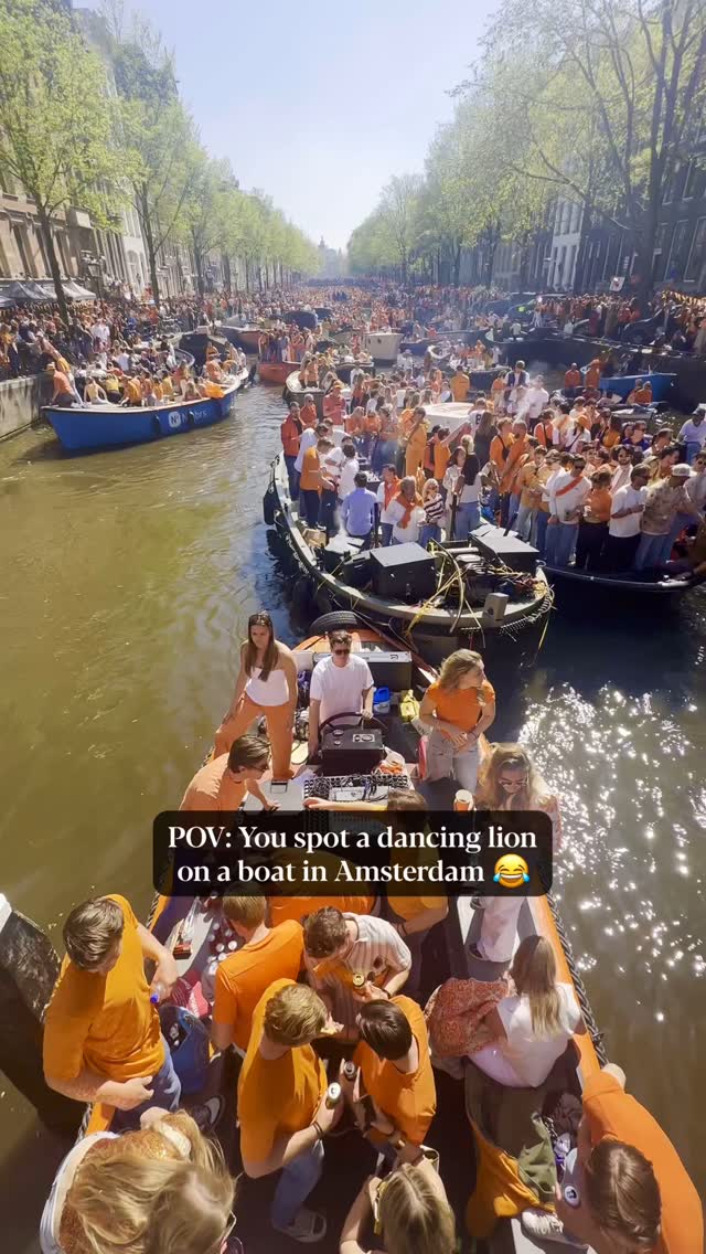 When you think you’ve seen it all… then a lion starts dancing in a boat 😂🦁🇳🇱🧡🧡🧡
#kingsday #Netherlands #koningsdag #nederland🇳🇱 #kingsdayoutfit