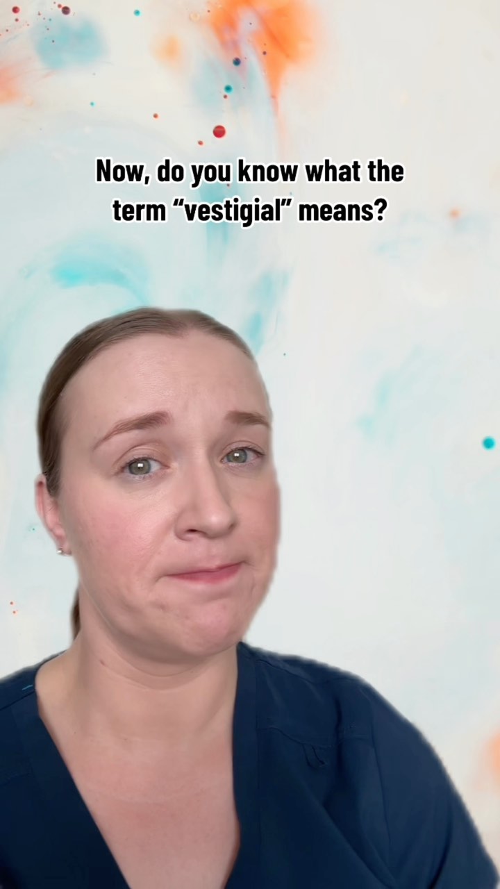 Learn about vestigial muscles!
#vestigial #vestigialmuscles #vestigialmuscle #evolution #humanevolution #muscles #muscle #neato #fun #learning #themoreyouknow #walnuttreeyeg #yegmassagetherapist