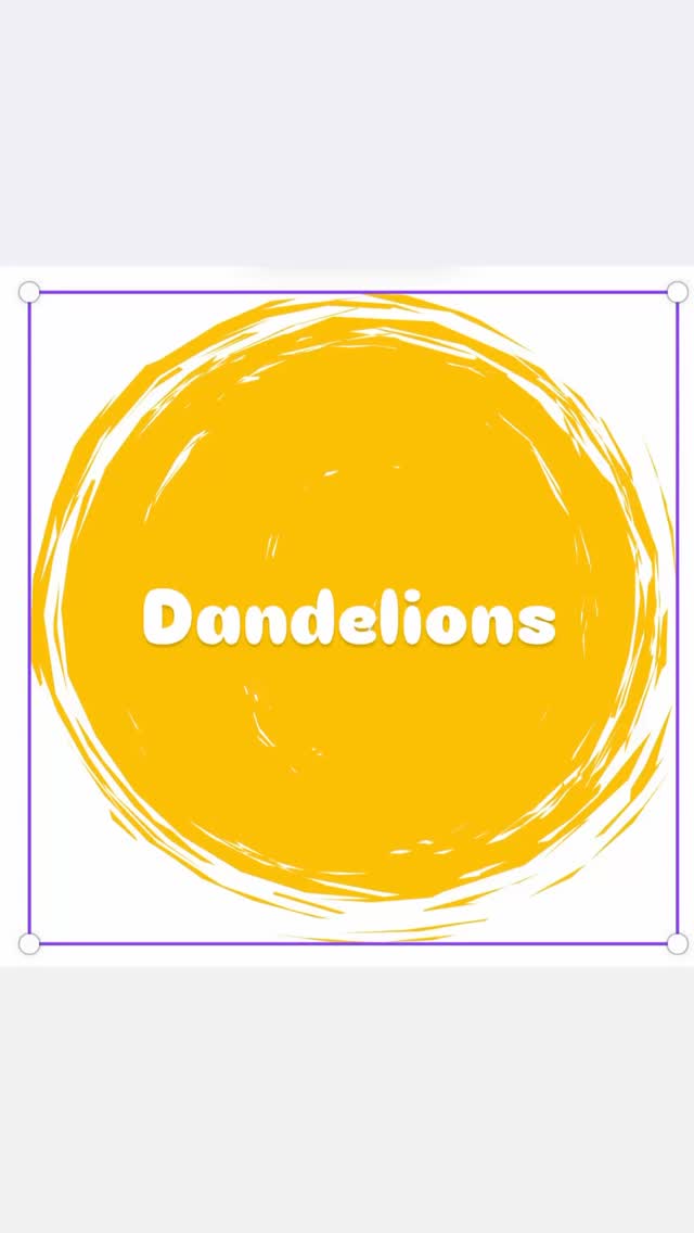 A fun day with dandelions in the Under 3’s today. Such an interesting plant to explore through play. We only ever select dandelions when we are in an area thats going to be cut