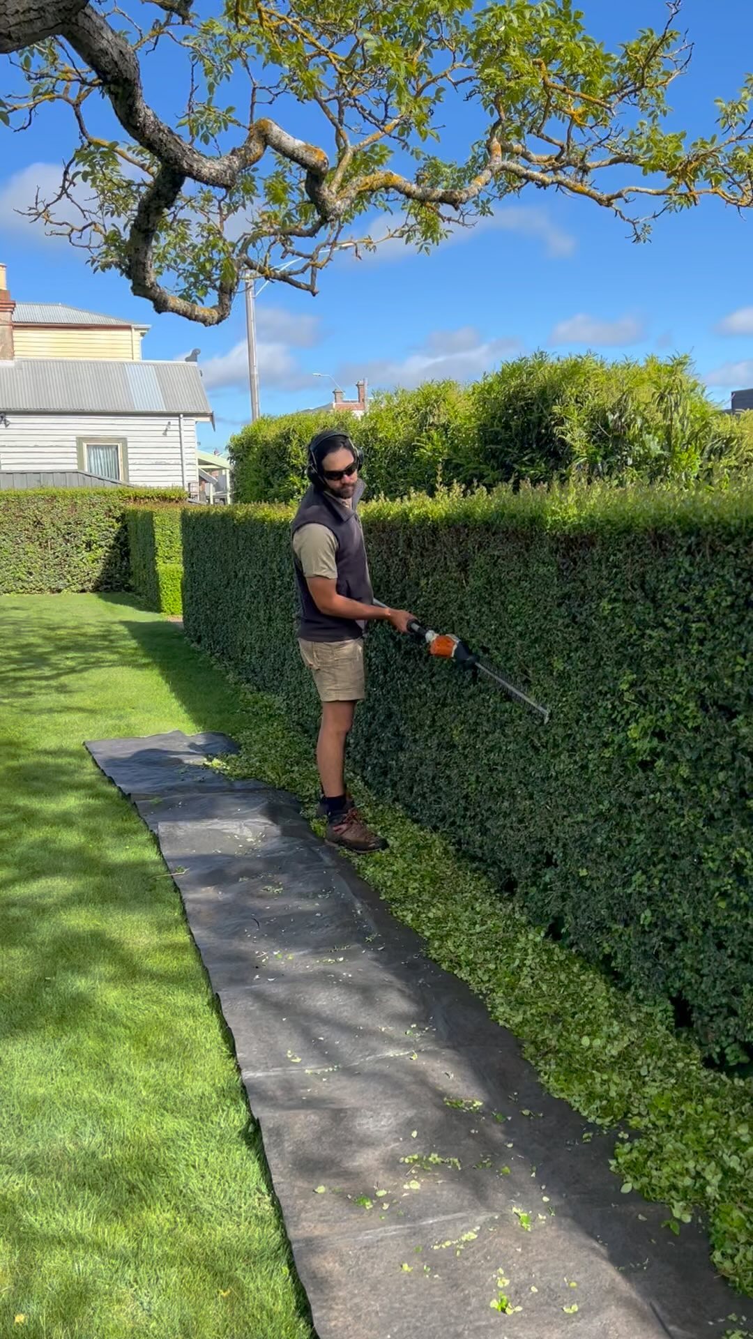 Spring means the hedges need a trim. Hugh from @ruralgardensaustralia seen here is working on the Myrtus luma hedge that borders the North lawn. As you can see, it’s a big job, and then there’s the Buxus. And the Pittosporum. And the Cypress hedges…..
Go to @airbnb or our website for booking enquiries.
@visitmacedonranges
@daylesfordmacedonranges
@piperstkyneton
#kyneton
#elope
#macedonrangesweddingaccommodation
#hedgetrimming
#oldrectory
#spring
