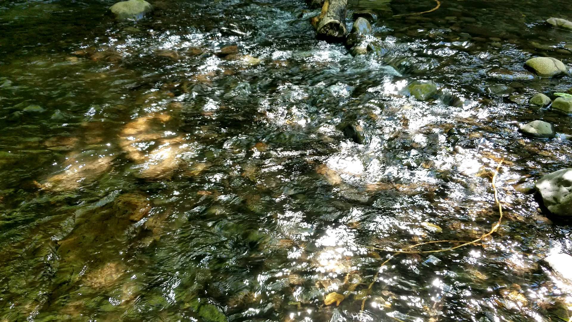 Water.