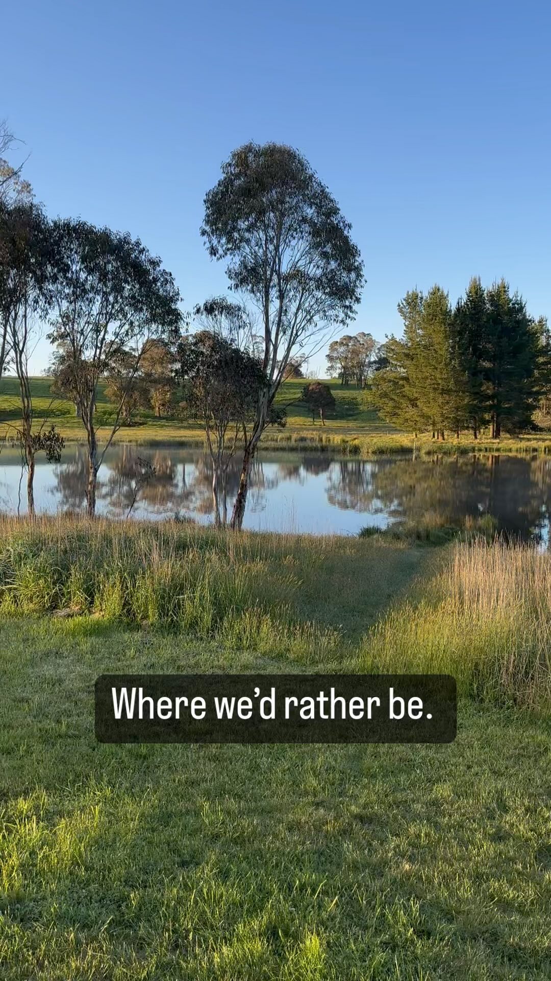 Who else would rather be there than at work today?
#geartruck #redtruckflyfishing #redtruckflyrods
#fishingtrip #flyfish #flyfishing #flyfishingaddict #flyfishingadventures #flyfishingjunkie #flyfishinglife #flyfishingnation #flyfishingonly #flyfishingphotography #flytying #angler ##onthefly #browntrout #rainbowtrout #catchandrelease #dryfly #tightlines #trout #fishing #troutbum #fishingislife #troutfishing #fishinglife #afterpay #afterpayit