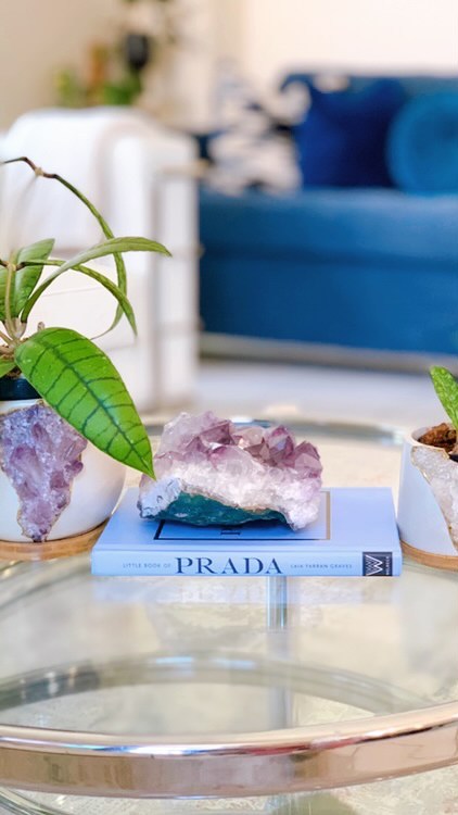 Friendships are made when least expected! Ellie placed an online order for a Philodendron Florida Ghost. I went to drop it off since it was a local Miami delivery.
She took me to the back to show me her plant collection, and I stumbled upon her pottery studio. I hadn’t made the connection that she was Ellie from @earthandgray.co, the handmade geode pottery I had admired for months!
We talked forever and bonded over the fact we are both Cuban-born Miami natives who left corporate to pursue our passion for plants, nature, and creativity🪴💚
These are the pots she made for me! I’m in love and forever grateful for our new friendship💚