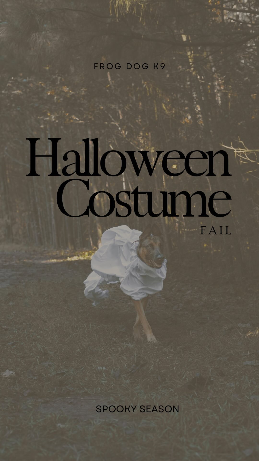 Jared: “Ronin, you’re going as a ghost tonight for Halloween.”
Ronin: “....That’s gonna be a negative ghost rider.”
Any last minute halloween costume suggestions?
Photo & Video By: @kb_content_
#viral #Ghosttrend #fails #negativeghostrider #dogtraining #dogtrainer #puppylove #supportthetroops #k9 #veternanowned # veteran #serviceanimal #suicideawareness #nonprofit #charity #servicedog #usa #patriot #757 #Chesapeake #virginiabusiness #virginiaevents #suicideprevention #therapydog