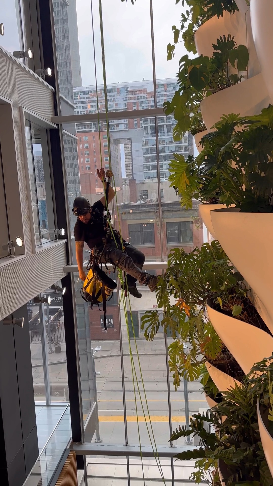When the exhilaration of work at height meets the tranquility of gardening 🌿 The RAD team is excited about our newest project: the upkeep and maintenance of the stunning Living Green Wall at TELUS Sky!
📞:1-888-ROPE-101
🕸️ :www.ropeadope.ca
#ropeadopewindows #ropeaccess #ropeaccesslife #ropeaccesstechnician #ropeaccessprofessional #windowcleaning #adrenalinejunkie #bucketharness #workatheight #buildingmaintenance #workview #safetyfirst #propertymanagement #yyc #yycliving