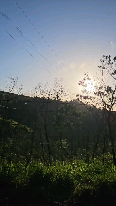 #camppālehua #pālehua #goodmorninghawaii #camping #oahu #adventure #views #palehuatrailrides