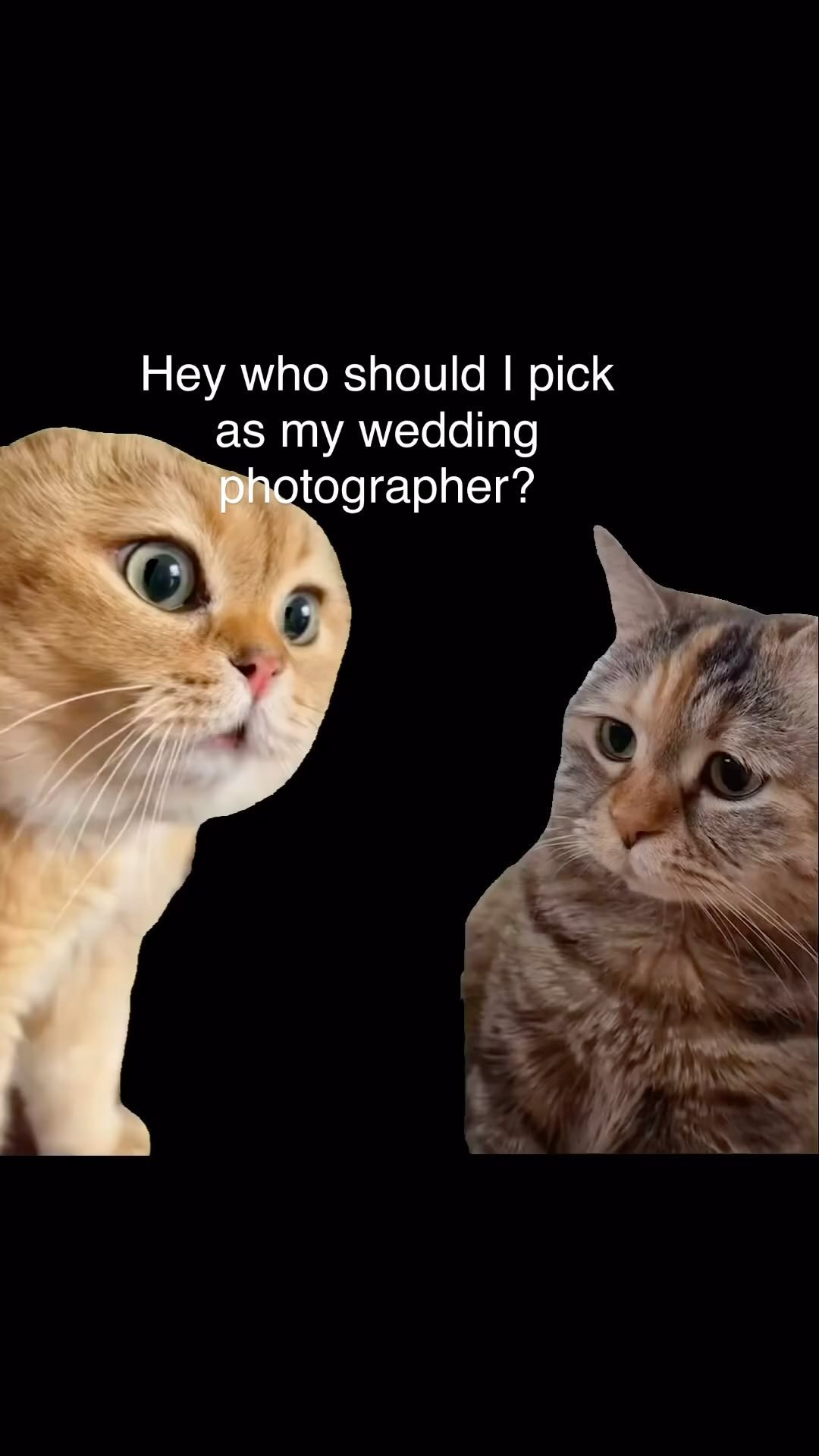 Yep, I do both 📸 & 💐 for weddings 😉
I also love cats 😻… and emojis 🙃