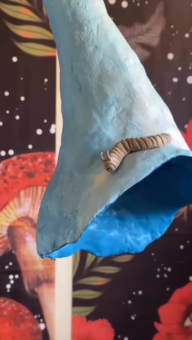 Too often, we don’t allow ourselves to trust our own process. Sometimes the unknown is the most beautiful thing about life. And we must honor what comes with not knowing just like nature’s path #pottery #artprocess #artist #handbuiltceramics #trusttheprocess