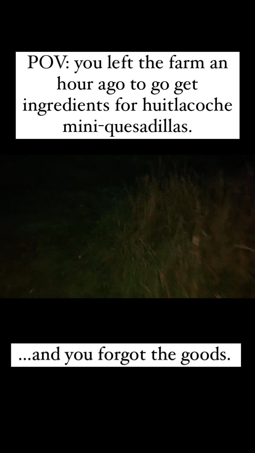 I made a misstep and now it’s dark and raining. 🤣
#mandaamin #huitlacoche #corn #seedkeeping #fungus #ediblefungus #seedfarm #smallfarm