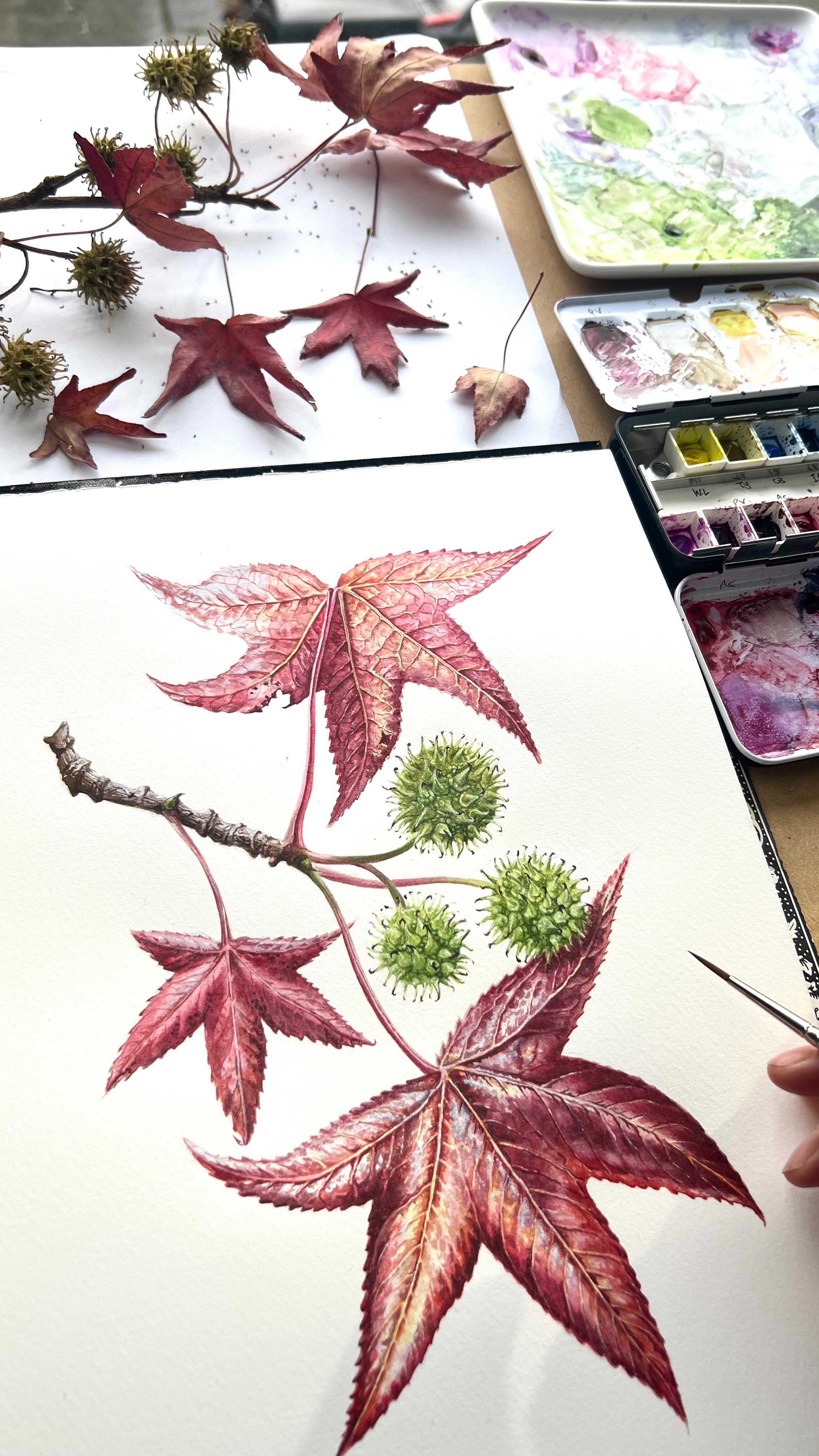 You can tell the weather from the changing light! 🌧️ ☀️
Liquidambar, sweet gum - a quick study in #watercolour 💜🩷❤️🧡💛💚💛🧡❤️🩷💜
#autumnvibes #autumncolors #autumnleaves #watercolor #artreel #artwip #surrey #artistsoninstagram #surreyartist #leafpainting #paint #paintingoftheday #paintingwatercolor #mindfulliving