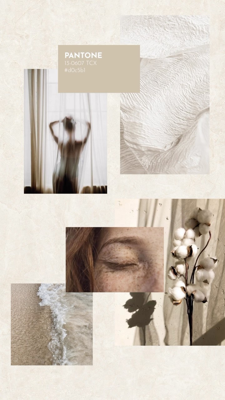 Beige moodboard ✨🤍
#graphicdesign #design #art #graphicdesigner #illustration #branding #logo #designer #graphic #digitalart #photoshop #artwork #illustrator #creative #artist #logodesigner #graphics #marketing #photography #drawing #logodesign #dise #webdesign #designinspiration #logodesigns #digitalmarketing #beigepalette #beigeaesthetic #beigefeed