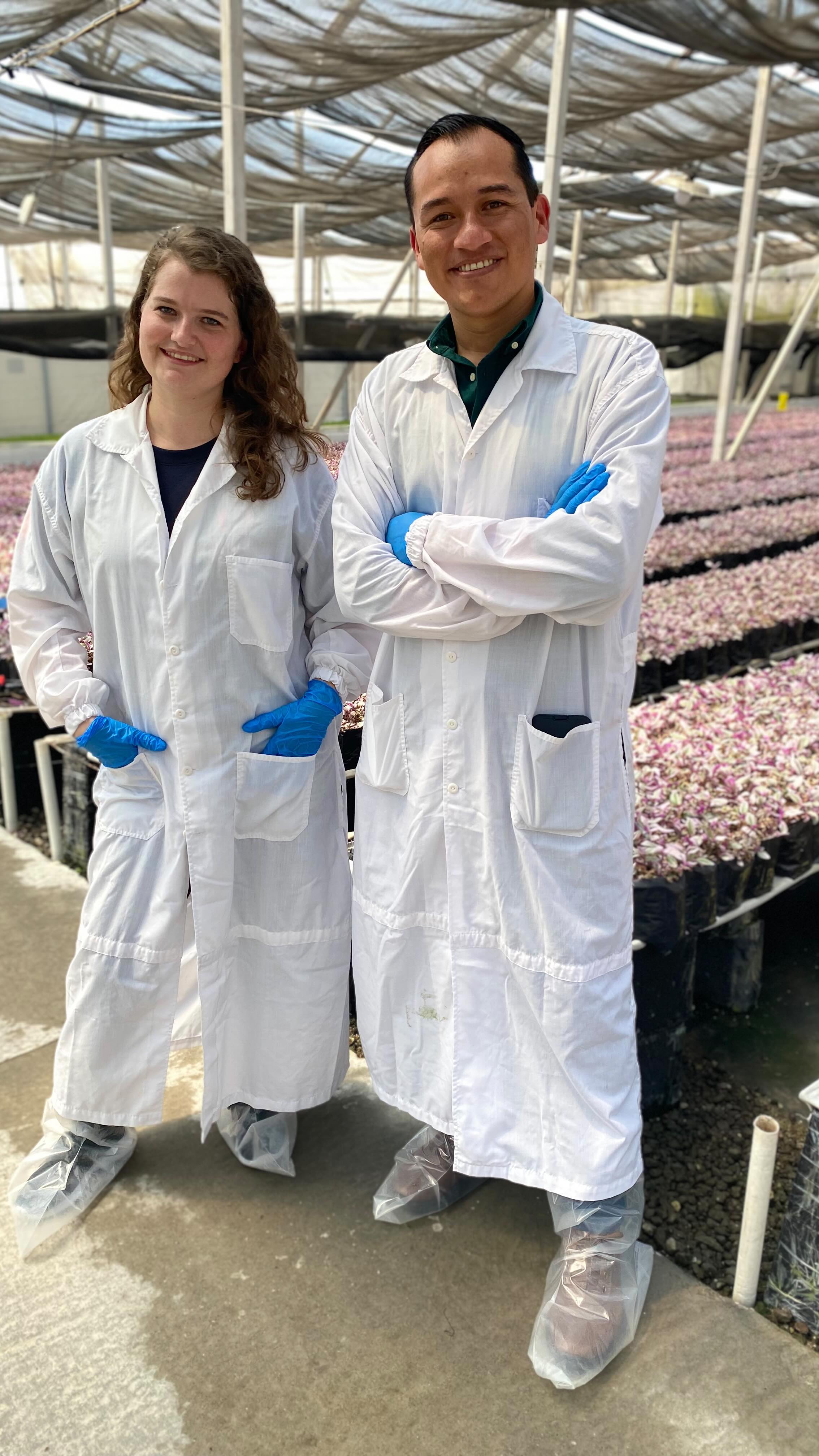 I’ve collaborated with @dummenorangena in previous roles in the hort industry. They are one of the largest breeders in the world! You may not realize it but many of the plants you purchase at your local garden center or retailer were cultivated by them. Like the Tradescantia Nanouk which they created and patented.
So when they invited me to visit their greenhouses in Antigua while I was speaking at the @agexportgt conference I was not going to say no!
The quality and safety they take to ensure you receive healthy plants are amazing!
Special shoutout to @keeks_corner for coming along with me and being the photographer, stylist, creator, and more!!
Follow and like for more bts content! Moises will be giving us tips this week on how to care for your strings of things and wait till you see what variegated beauty is soon hitting the stores here in North America🪴
*
*
*
*
#plants
#plantreels
#greenhouse
#urbanjungle
#welcometothejungle
#tradescantia
#antiguaguatemala
#plantsmakepeoplehappy
#latina
#latinaplantlady
#latinabloggers