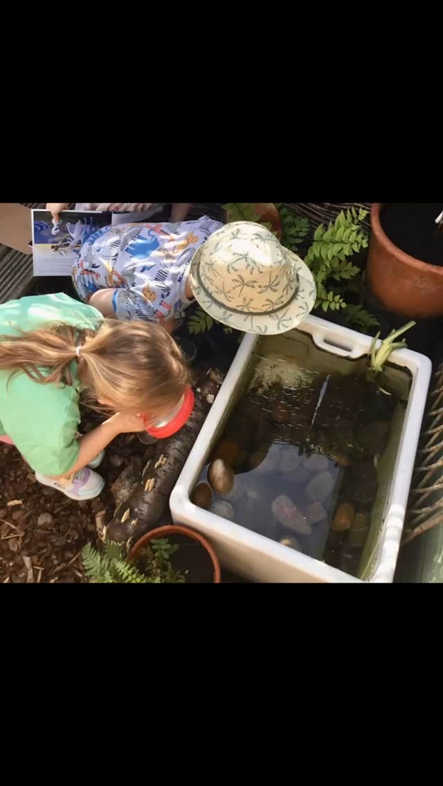 Our little learners are loving exploring their refreshed environment outdoors. Outdoor painting offers a multitude of benefits beyond simply painting. It stimulates sensory experiences, boosts creativity, and encourages social interaction. The freedom of an outdoor setting allows for larger-scale projects and exploration, fostering both fine and gross motor skill development. The dig pit has proved a huge hit, something we identified was needed (& hopefully the path will last longer!) Using small tools like shovels and rakes, and scooping and pouring, develops fine motor skills and hand-eye coordination. Huge thank you to @allengardenservices and our ever patient handyman Tim Cousin for their amazing work, we are very grateful for your high standards of workmanship! #westbridgford #independent #nursery  #est1988 #underfundedchildcare #ndna #earlyyearseducation  #urbanforestschool #outofschoolclub #openendedplay #earlyyears #play #curiosity #letthemplay #outdoors  #learningthroughplay #milliesmark #birthtofivematters #earlyyearsoutdoors #milliesmark  #2025 #april  #keepingchildrensafe #thewhitehousedaynursery
#aweandwonder #spring