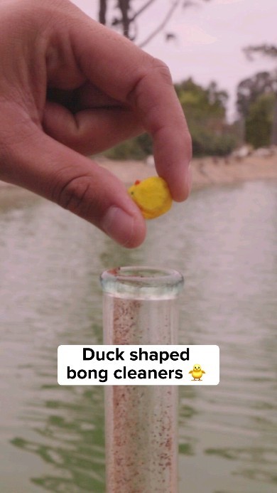 Always next day shipping 🐥🎁 ScrubberDuckys.com