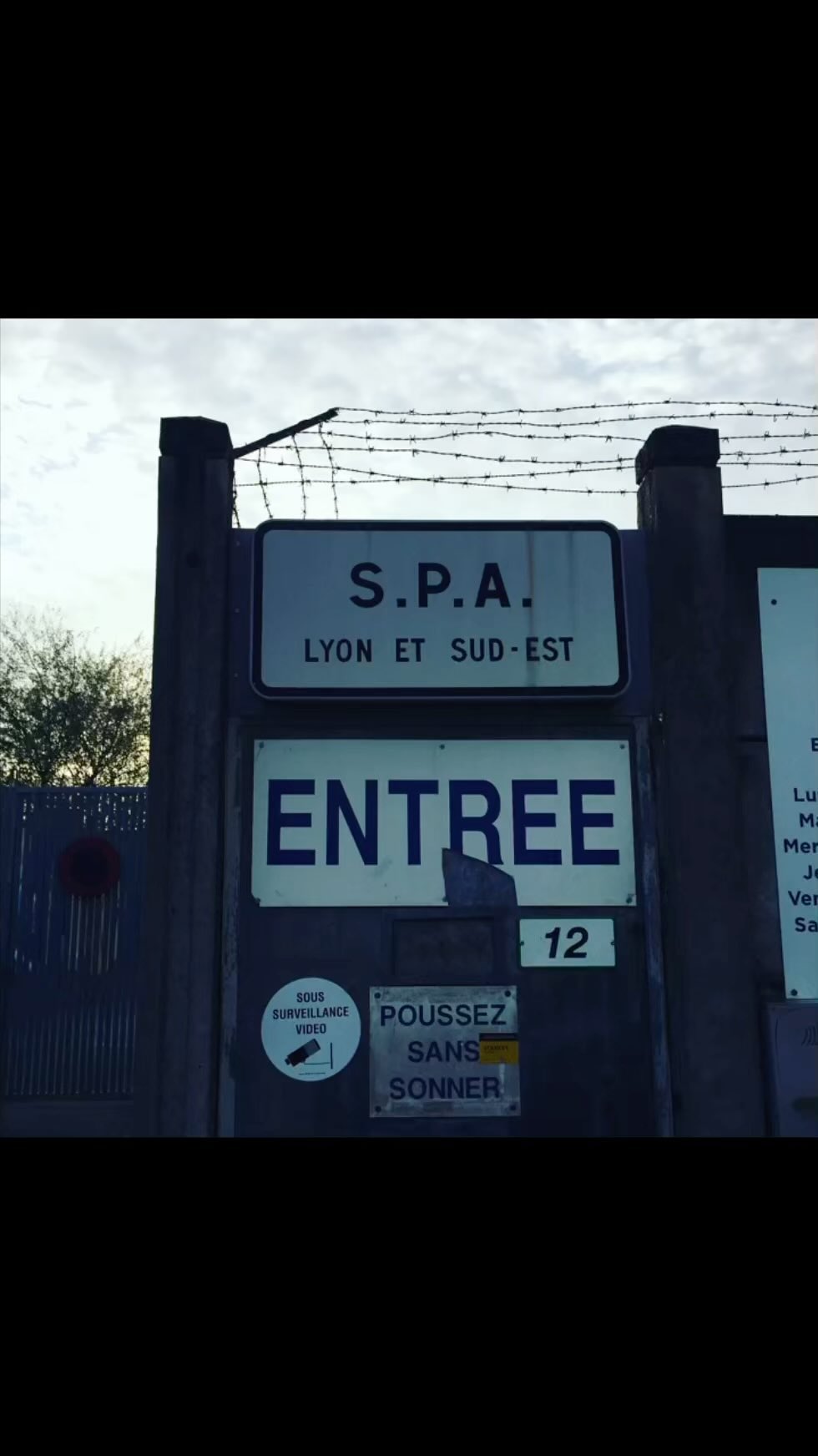 Il parait qu’ aujourd’hui c’est la journée internationale du chat … chez nous je crois que c’est tous les jours tellement on est dingue de lui 🤪🤪on va se mentir c’est lui le chouchou de la maison 😂 On le sait, parce que y a plus de photos de lui sur notre téléphone que toute la famille réunie 🙈🙈
6 ans de lui a nos cotes malgré sa maladie et on s’est battu car rien n’était gagné pour lui Il y a encore quelques années, il souffrait terriblement. À cause de son coryza, il a dû subir plusieurs opérations. Et maintenant grâce a du laser, et un traitement de fond il va beaucoup mieux.
shadow est un chat adopté de la SPA. Il a été trouvé coincé dans un tuyau dans une usine quand il était bébé. Nous l’avons eu à six mois. Nous n’avons aucun regret. Ce n’est que du bonheur 🥹 ❤️
#quedubonheur #pourvuqueçadure #chat #catlover #catsofinstagram #journeeinternationaleduchat #solidarite #animallover #animals #spa