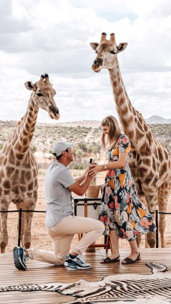 Made the best memories this year ❤️🇳🇦🦒
I don’t even know how to tell you the great news but here it is 🥹😍💍
What a wild ride over almost 5 years! Can’t believe that this is happening now 🦒🤍
#engaged #marriage #wedding #namibia #ldr #africa #giraffe