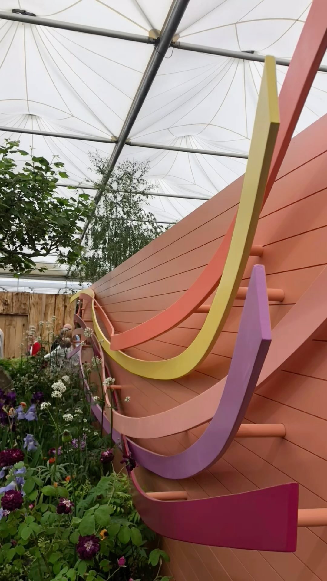 Ribbons on the #panathlon #panathlonjoygarden at #rhschelseaflowershow 2024. Absolute joy to work with @llevelo_garden_design @stewartlandscape . Another challenging project completed. #curves #woodbending #bespoketimberfurniture