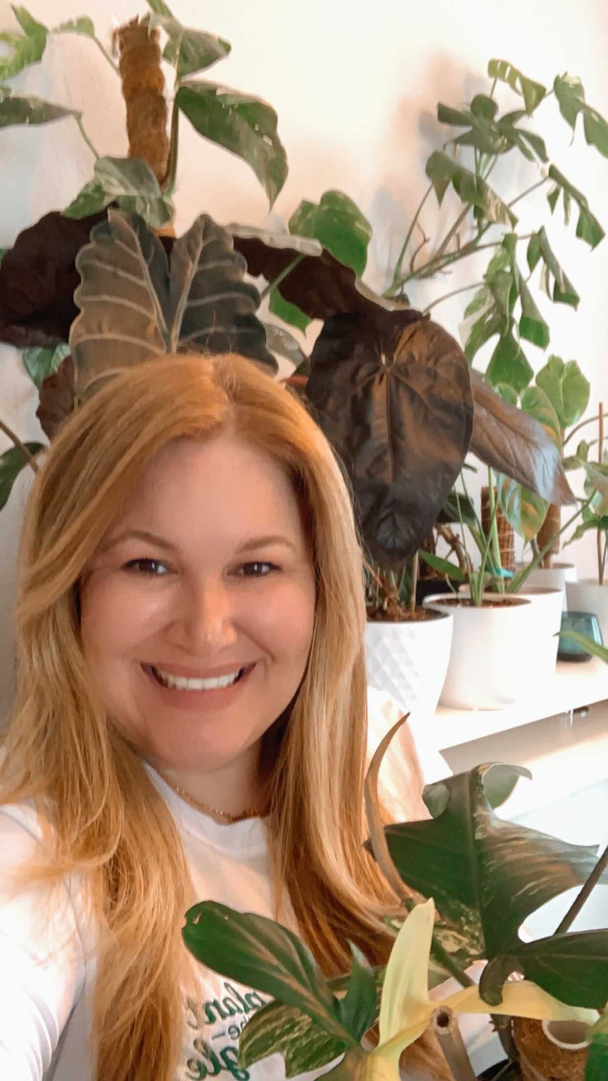 Happy Earth Day🌎 I will be bringing you lots of tips and tricks rooted in science based on what I have learned over the years as a horticulture professional and through my horticulture classes🪴
Did you learn something new or were you already doing this? Do you not care and are going to continue watering you plants at night🥴 Drop your comment below 👇
#earthday
#plantsofinstagram
#philodendronfriday
#philodendronfloridabeauty
#anthuriumqueenofhearts
#alocasiazebrina
#rareplantnursery
#rareplants
#plantthejungle