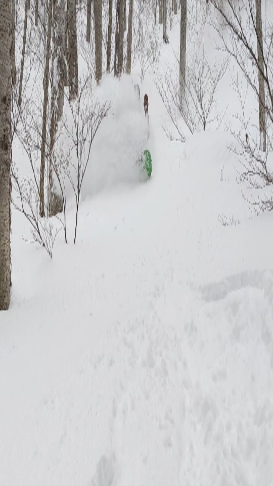 Ruka enjoying the goods of the storm down low and out of the wind 🤙
After a slow start it seems like we'll only have time to ride and shovel with major dumps expected every few days for the foreseeable future 🙇
Alll bookings @gozanlodge.myoko include buffet, gourmet European breakfast, 3 course dinner and onsen pass to our neighboring naena onsen 🙏😋
Whether it's a guided day or choosing your own adventure, leverage our decade of experience riding the good stuff in the nagano/niigata region. 🤙
We will give daily briefs at breakfast and dinner on the safety conditions so you can have extra confidence in your plans ❄️🤓
Get in contact via our site http://gozanlodge.jp or via DM
.
.
#gozanlodge #suginohara #sugi #akakura #ikenotaira #snowboarding #skiing #japanbackcountry #myokokogen #japow #sekionsen #splitboarding #nozawa #madarao #lottearai # #niseko #hakuba #nozawa #杉ノ原スキー場 #妙高 #妙高高原 #雪山 #スノーボード #バックカントリー