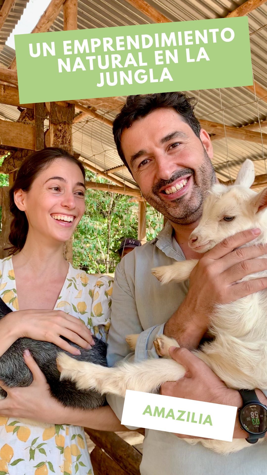 Conoce a Amazilia @amazilialife ✨🐐🍃
Es un emprendimiento panameño de productos naturales con valores súper verdes (y bonus points porque crean uno de los pocos jabones que he encontrado que no irritan a mi piel sensible) 🙏🏻💚
P.D. Esto NO es un post patrocinado- Yo realmente soy clienta de ellos y llevo años usando sus jabones y finalmente pude visitar a su finca en Torio la semana pasada 😊 Lo recomiendo full si están por la zona tienen tours y su tienda física allí 🙌🏼
Que te parece este emprendimiento local y sostenible? 🍃
#natural #goat #goats #babyanimals #babygoats #jabon #ecoamigable #cosmeticanatural #panama #jungla #torio #conservacion #naturaleza #pty #reels #reelsinstagram