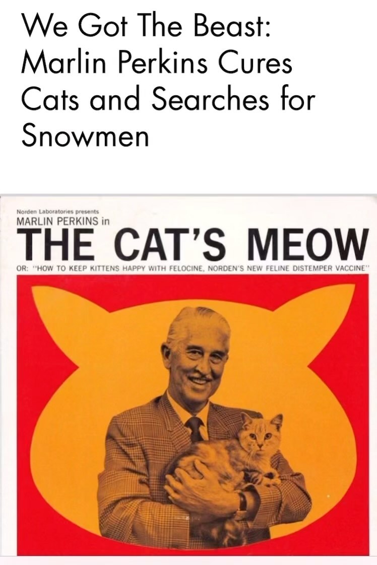Marlin Perkins of “Mutual of Omaha’s Wild Kingdom” fame describes his search for the Abominable Snowman, or Yeti, in the Himalayas with Sir Edmund Hillary…as they got sidetracked while working on a new feline distemper vaccine.
Read the full story at https://www.haint.blue/post/we-got-the-beast-marlin-perkins-cures-cats-and-searches-for-snowmen