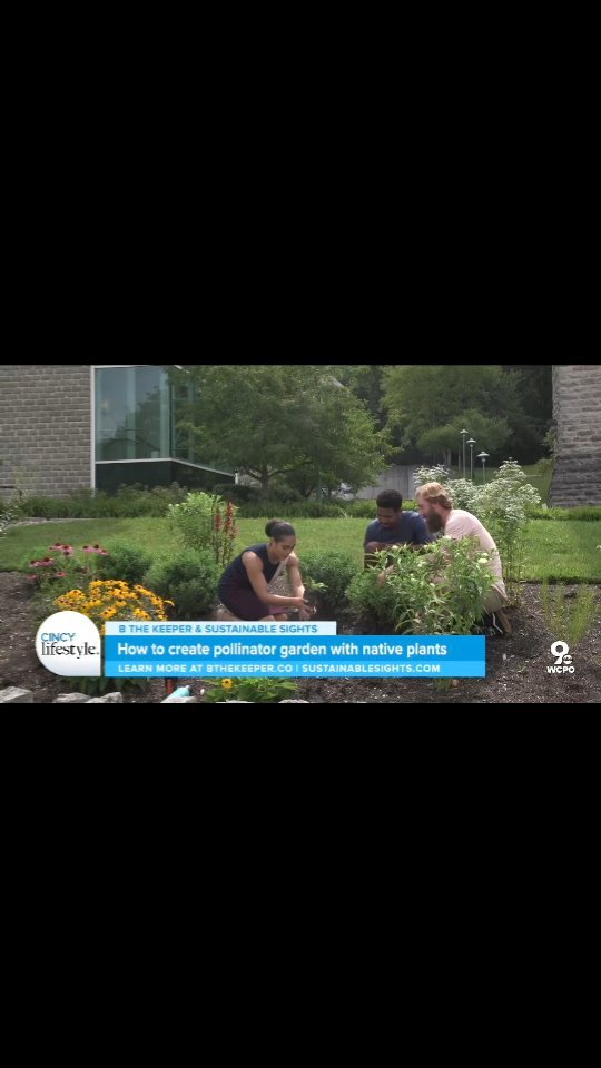 With all of the spring rains this year our pollinator gardens planted in 2023 are exploding!
Here's a conversation @b_thekeeper and I had with @mikhaylahughesshawtv of @cincylifestyle at @wcpo9_news about planting native gardens!
#sustainablesights