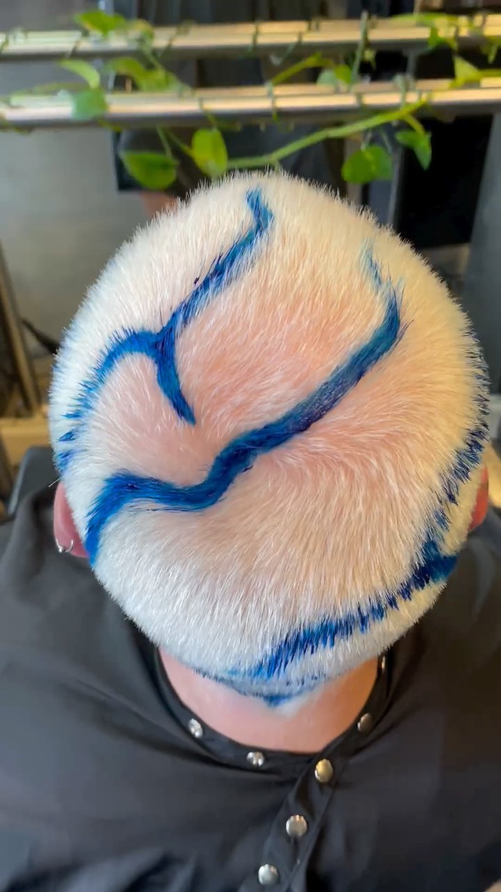 ποΈποΈποΈ #razordolls @mukhaircare_global #windsorprahranhair #melbournehairdresser #3181 #razordollssalon #chapelstprecinct #creativecolouristsmelbourne #authentichairarmy #vividhair @behindthechair_com #bleach #hairpainting #alternativehair #hairart #blue #grunge #shave #x Tina #y2k #y2khair @razordollsbrooke @razordollspeanut