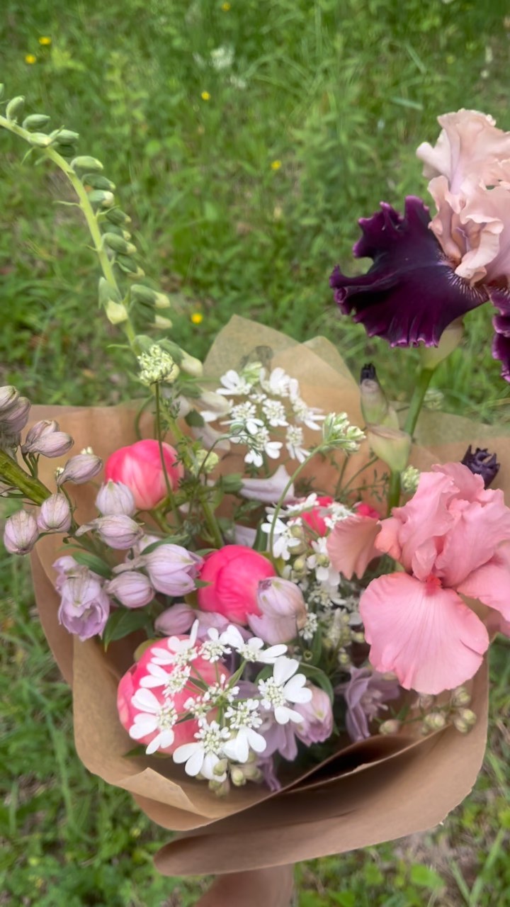 💅💅 BLOOMS OF THE WEEK 💅💅
We will have bouquets available for pre-order alllllll summer long. Flowers are always the best of what’s in season. Small $35 and large $50 options. Pickup free of charge at @savvy.flesherton @susansdeli @heartwood_home or here at the farm. Delivery options are available. Happy summer y’all.
#localflowers #greycounty #flowerfarmer #bloomsoftheweek #madeingrey