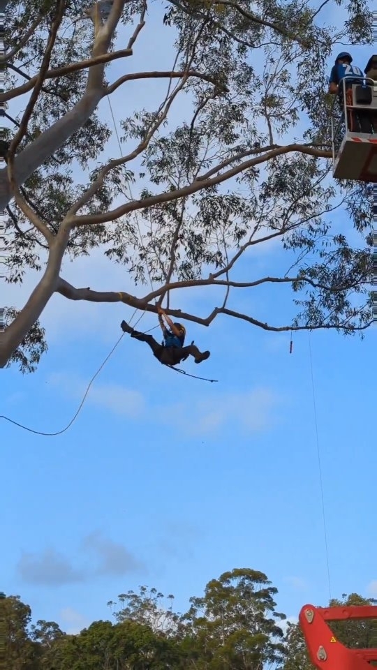 I misplaced my right foot coming back in from the limb walk station... Became extremely tangled and dangling below the branch and gave the whole crowd a mid-air splits but still recovered! It's not about what happened but that we recover!
ππππ