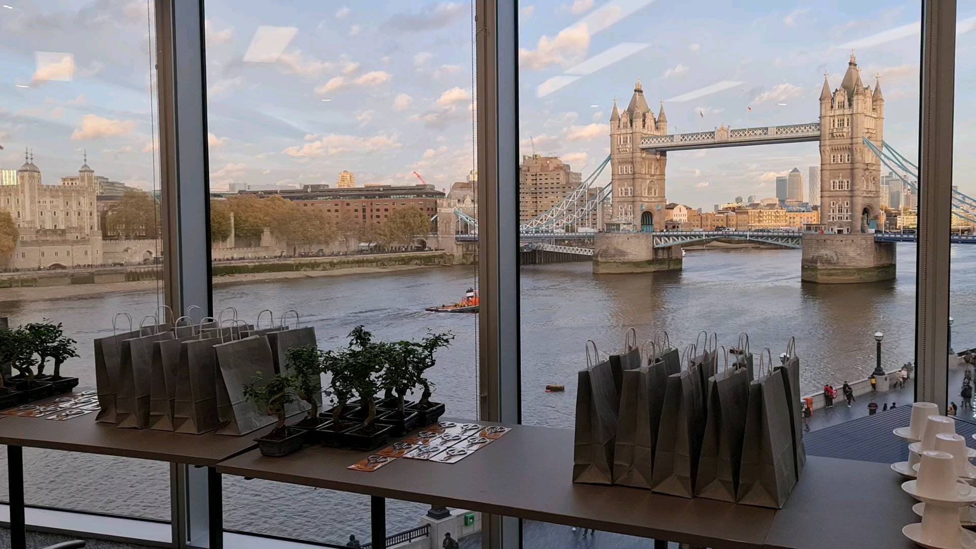 Loved the venue of todays Bonsai Workshop
#bonsai #bonsaitree #bonsatrees #bonsaiworkshops #makebonsai #ma-kebonsai #permabonsai #corporatebonsai