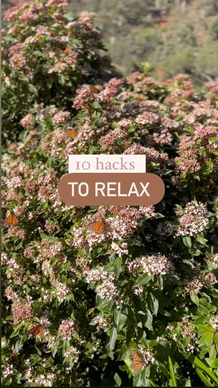 I’m seeing a lot of stress and the effects of stress on our body at the moment in clinic.
When stress, overwhelm, or anxiety sets in, our body instinctively shifts into “fight or flight” mode, driven by the sympathetic nervous system. This age-old survival mechanism prepares us to either face the perceived threat head-on or make a try to escape. During this response, our heart rate increases, pupils dilate, and adrenaline and cortisol flood our system, sharpening our senses and boosting energy levels. While the “fight or flight” response is crucial for our survival, frequent activation due to prolonged stress can take a toll on our physical and mental health. It can lead to a range of issues, including elevated blood pressure, weakened immune function, digestive problems, hormonal disturbances and even mood disorders. Finding ways to dial down the stress response and engage the parasympathetic nervous system is vital for restoration and healing.
The parasympathetic nervous system, often referred to as the “rest and digest” mode, is the counterbalance to the sympathetic response. It promotes relaxation, healing, and rejuvenation, allowing our bodies to recover from the demands of daily life. Activating the parasympathetic body helps reduce stress hormone levels, slow down heart rate, improve digestion, and enhance overall well-being.
So if you feel your heart start to raise and your mind panic in the moment here are 10 hacks to activate the parasympathetic nervous system to recenter yourself
touch all your fingers
wiggle your toes
soften your stomach
breathe through your nose
sigh
smile
swallow
sing
flutter your eyelids
and focus within ✨
This lovely little mnemonic device is from the wise Professor Marc Cohen 🧡🧡