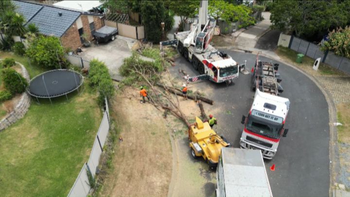 Big day last week removing six problematic trees with a 100 tonne crane! Shout out to @grant_mcintosh_85 @condrinwil and @chrisveecee for making it happen on the day π Please enjoy! πππ³