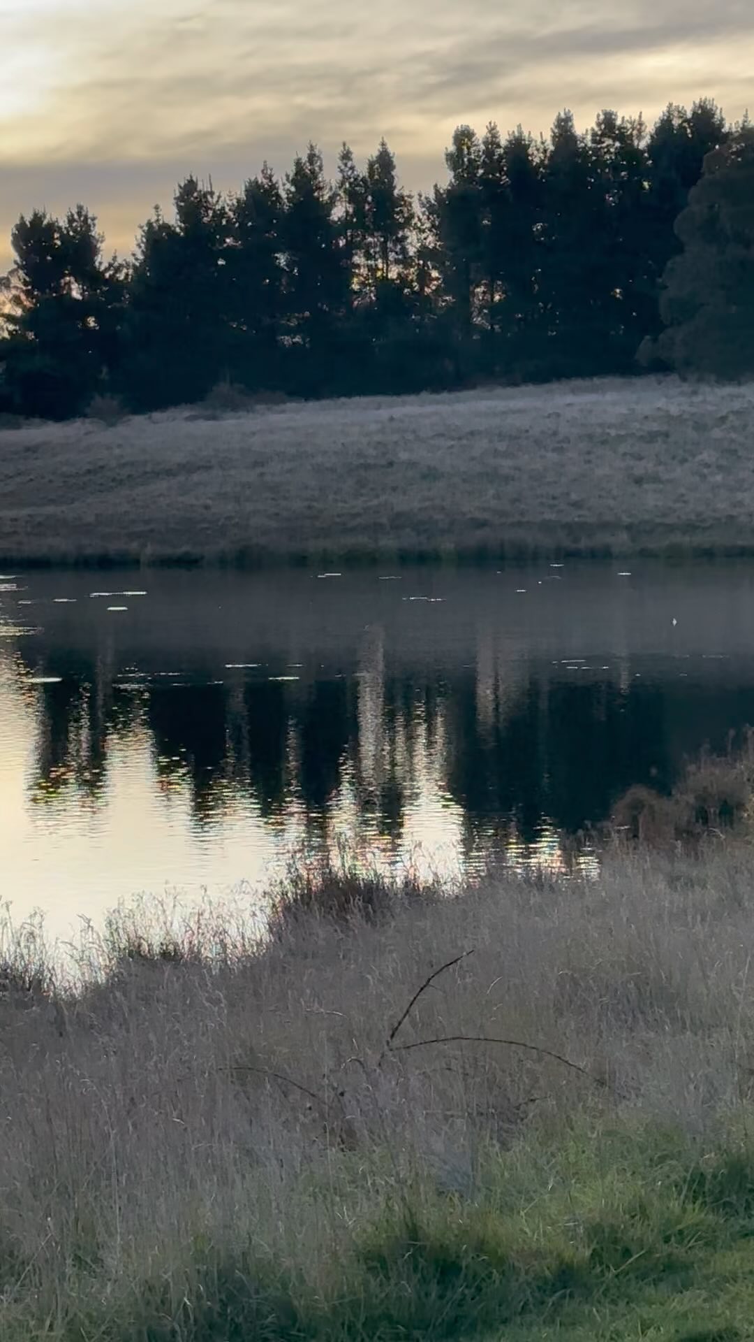 Ever rocked up ready to fish and wondered if there any were fish in there. Pretty clear there was a healthy trout population here.
#flyfishingaustralia #flyfishingnz #flyfishingnewzealand #flyfishing #flylife #flyfishingtrip #flyfishingtrout #browntrout #rainbowtrout #flyfishingjunkie