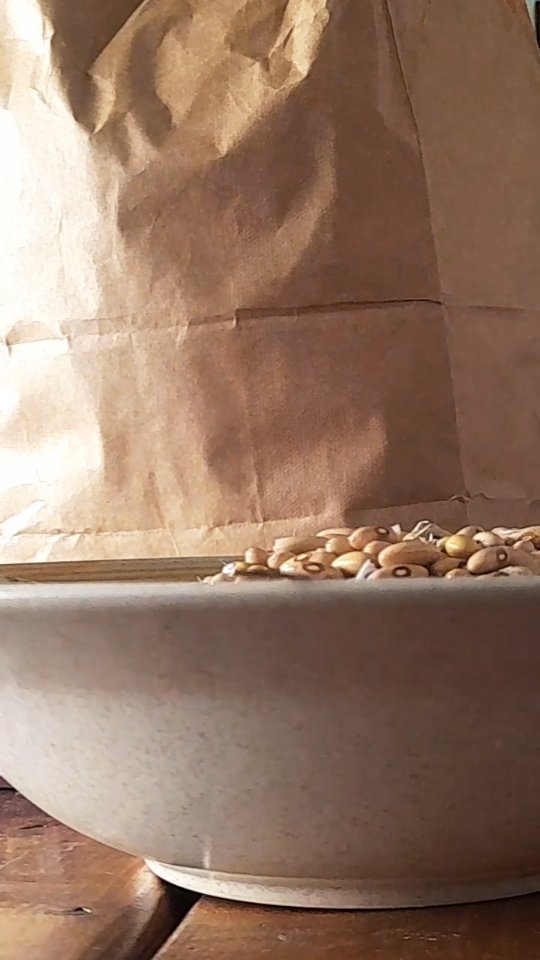A simple and quick way to process your #beans. These are going the ground at the #farm today. All it takes is a beagador and a pillowcase.
#seeds #seedkeeping #growing #simple #smallfarm #farm