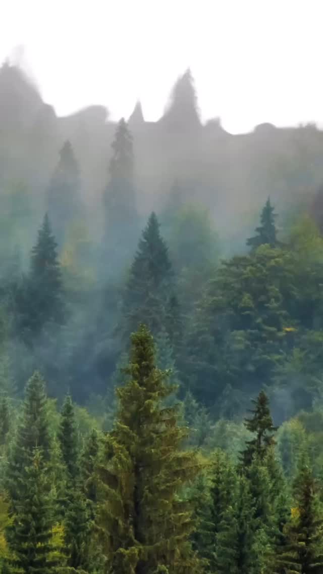 ✨Wild Motherhood Yoga – By Donation This Summer🌞
June & July | Outdoor Classes | Bring Your Littles 🥰
Mamas, come as you are! Join us this summer for Wild Motherhood Yoga—a nurturing space in nature where we move our bodies, breathe deeply, and reconnect with ourselves alongside our children.
These by-donation classes are about more than yoga—they’re about community. About forming the village we all crave in motherhood. About allowing your child to play freely at your side while you ground into your body and heart, surrounded by other women who get it.
Let’s gather in the sunshine, stretch, laugh, share, and remember: you were never meant to do this alone.
Open to all moms and caregivers. No yoga experience needed. Just bring a mat, your little ones, and your beautiful self.
Together, we rise.
RSVP Online Location TBD (Salmon Arm/Canoe Area)
#WildMotherhoodYoga #MotherhoodInCommunity
#PostnatalYoga
#PrenatalYogaSupport
#YogaWithBaby
#MamaVillage
#YouAreNotAlone
#MomLifeInFlow
#SweetFreedomYoga