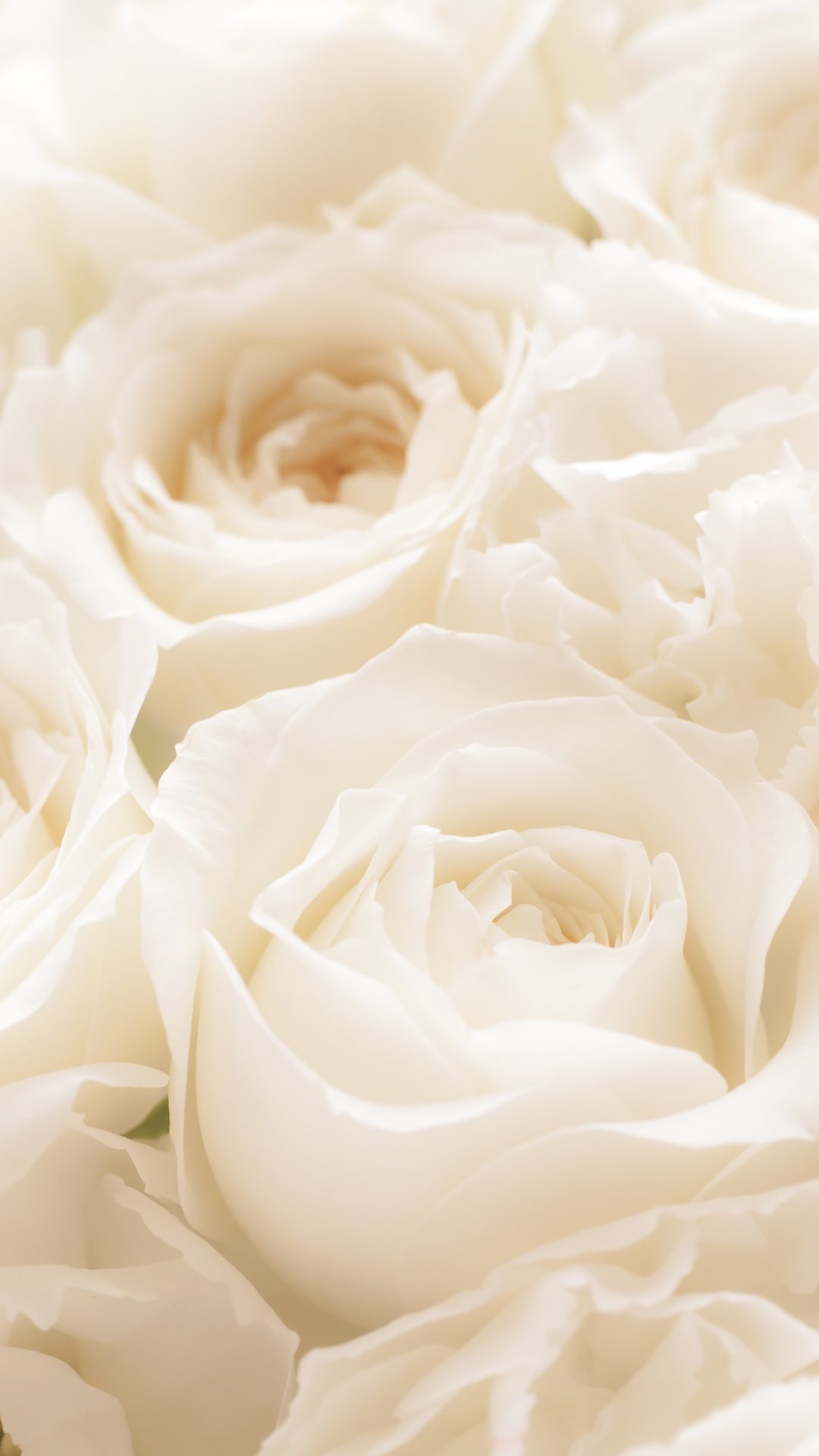 It is officially the day of love and here at ESSENTIALS, we believe in celebrating all aspects of love. Although #ValentinesDay is the day we typically shower love upon our significant other, friends and family, we want to also encourage you to show love to yourself as well! Because you are more than deserving.
Treat yourself to our aromatherapy products and remember to take time today for self-care. We’ve curated a playlist for you today for the ultimate relaxation. Link is shared in our stories!
We hope your day will bring so much ease, love, and light. Be well.
#happyvalentinesday #vday2023 #essentialsxkmarie #aromatherapycandles #luxurycandles #blackownedcandles #shopblackowned #shopwomanowned #womanownedsmallbusiness #candlemakersofinstagram #candlemakersofcolor #blackcandlemaker #selflovery #selfloveday #selflovedaily