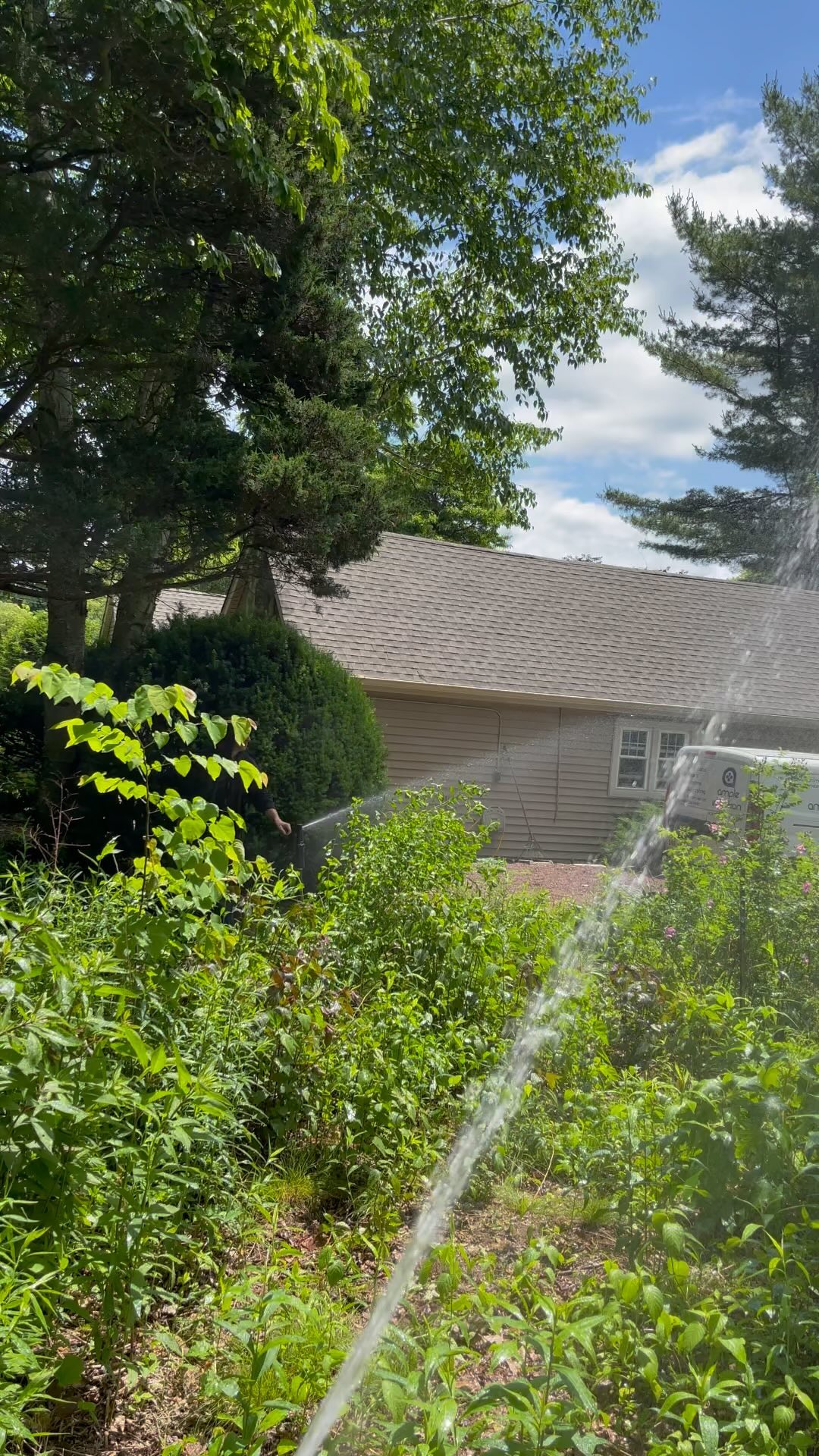 Customer wanted coverage for her meadow, so we gave it a nursery style soak ๐ #ample #irrigation #lawn #sprinklers #plants #plantings #lawnsprinklers