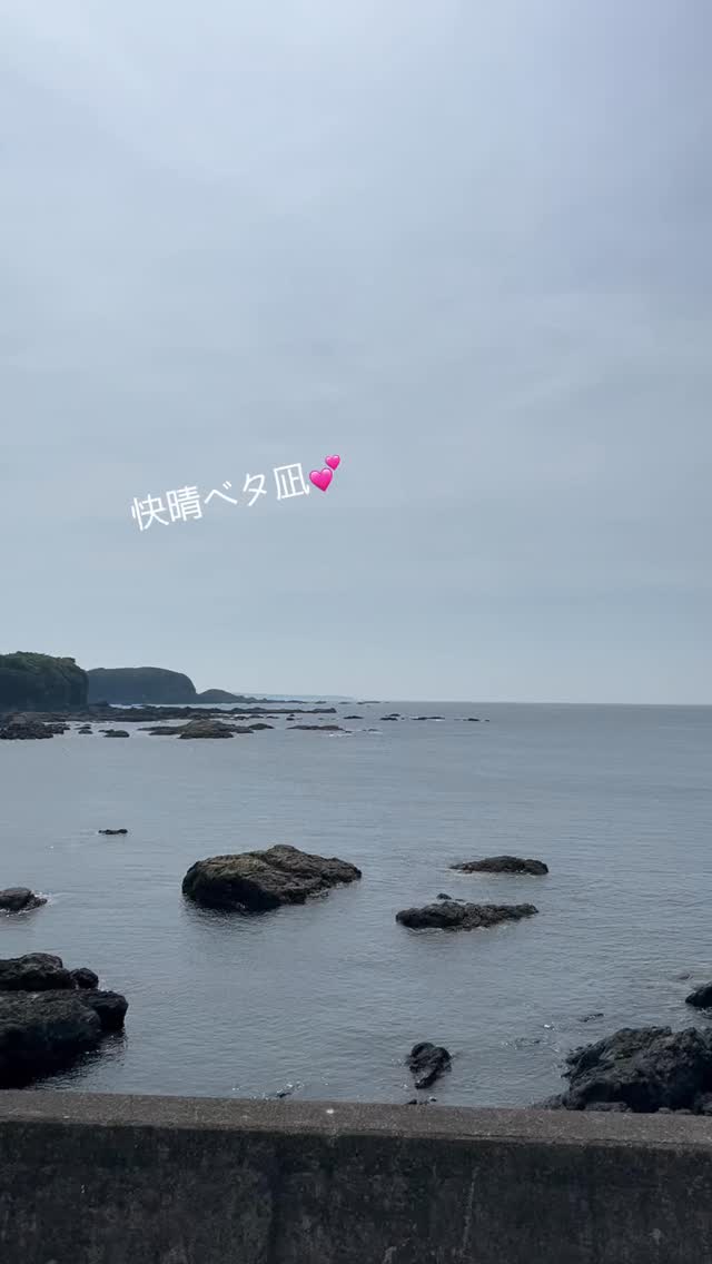 串本で潜ってきた✨
平日は貸し切り状態も多くのんびり潜れて最高です✨☺️
リクエストお待ちしております!
#可愛い
#感動
#生命の神秘
#ダイビング
#海好きな人ち繋がりたい
#ダイビング好きな人と繋がりたい
#ブルーオリナ
#PlaywithEarth
#diving
#口内保育