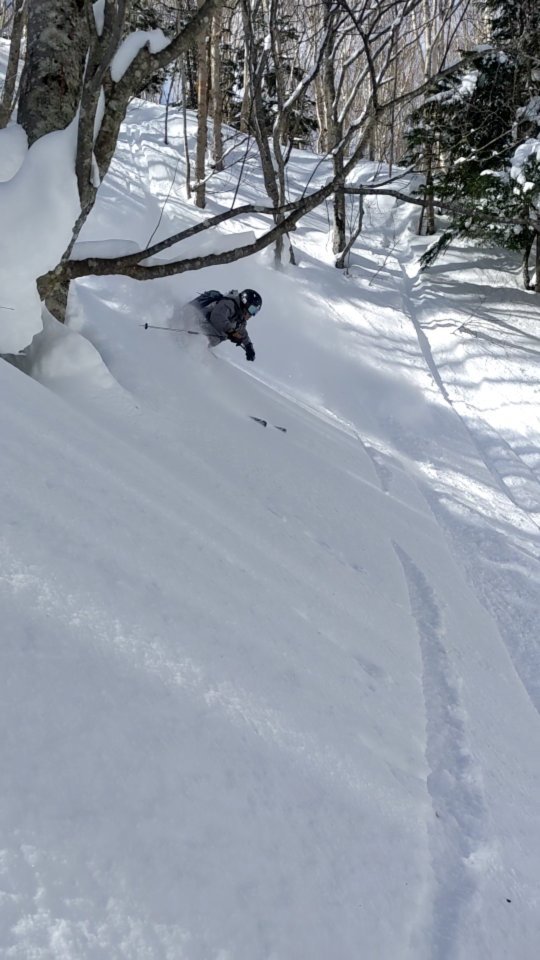 Saturday Powder Stash 🍄🌠 we know where to find it 🎮
All bookings @gozanlodge.myoko include buffet, gourmet European breakfast, 3 course dinner and onsen pass to our neighboring naena onsen 🙏😋
Whether it's a guided day or choosing your own adventure, leverage our decade of experience riding the good stuff in the nagano/niigata region. 🤙
We will give daily briefs at breakfast and dinner on the safety conditions so you can have extra confidence in your plans ❄️🤓
Get in contact via our site http://gozanlodge.jp or via DM
.
.
#gozanlodge #myoko #suginohara #sugi #akakura #ikenotaira #snowboarding #skiing #japanbackcountry #myokokogen #japow #sekionsen #splitboarding #nozawa #madarao #lottearai # #niseko #hakuba #nozawa #杉ノ原スキー場 #妙高 #妙高高原 #雪山 #スノーボード #バックカントリー