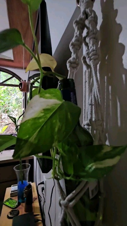 HomeOffice